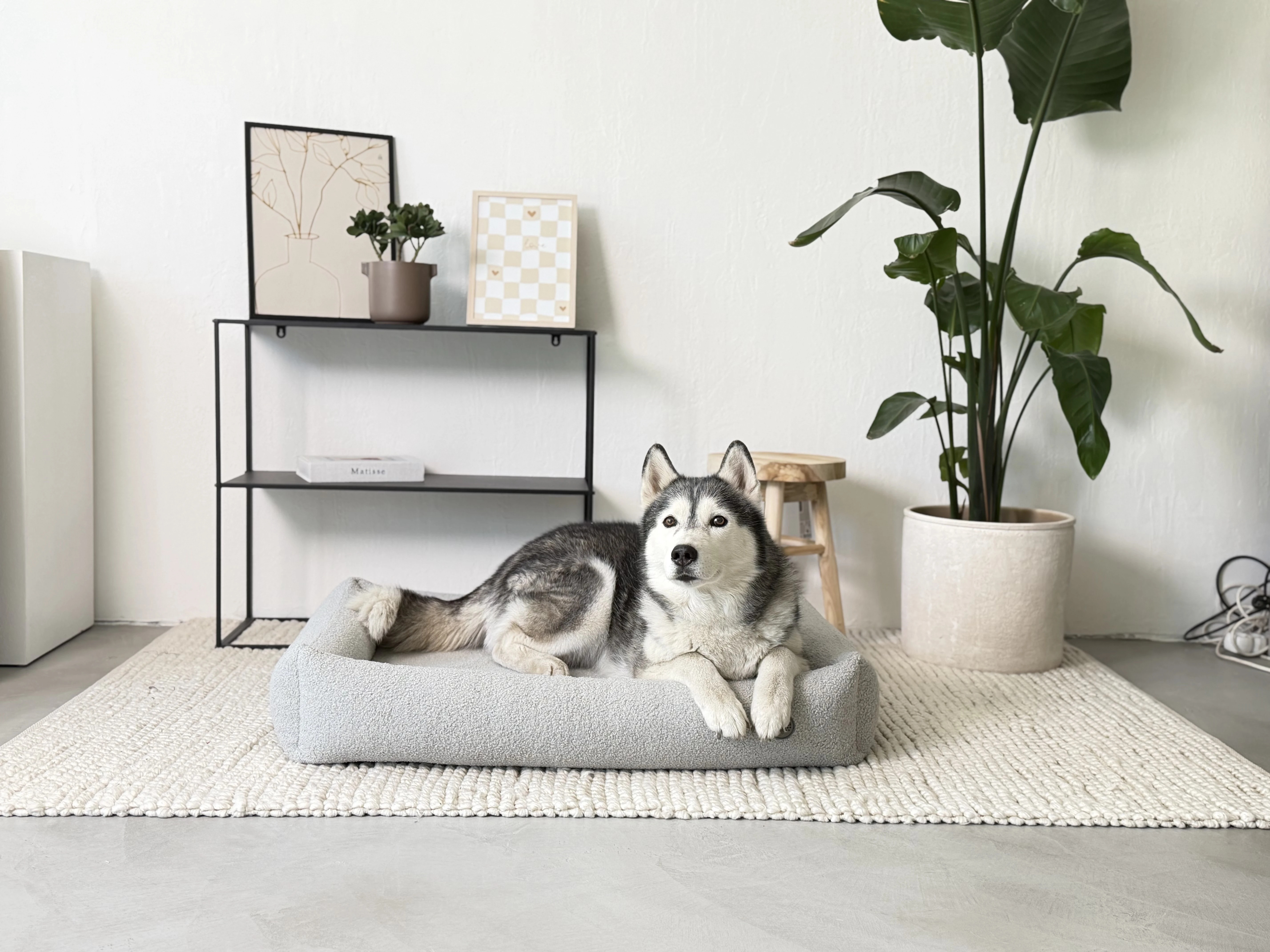 Bambol OrthoComfort, boucle šedý 04